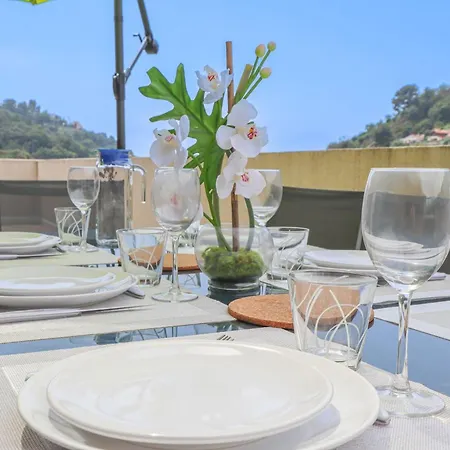Spacieux Rooftop Parking, Terrasse Ensoleillee Мантон