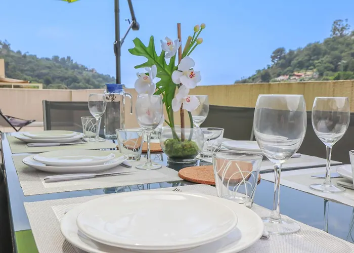 Spacieux Rooftop Parking, Terrasse Ensoleillee 芒通