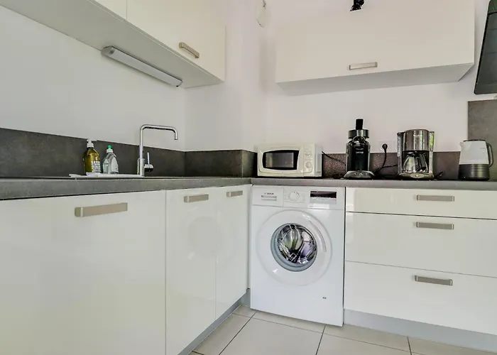 Spacieux Rooftop Parking, Terrasse Ensoleillee 公寓 芒通